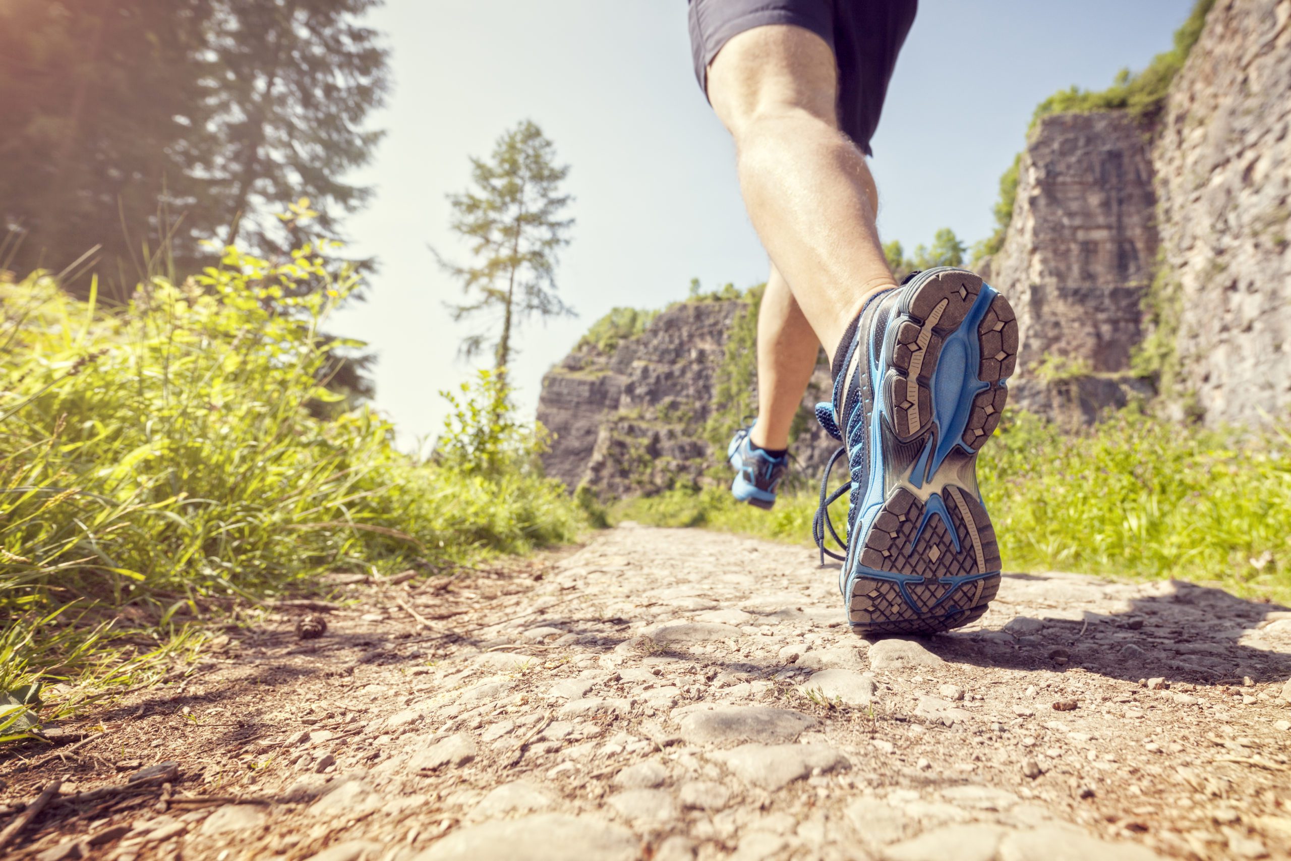 Subcarpati Trail Run